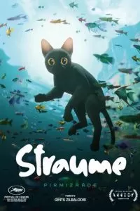   Течение (2024)